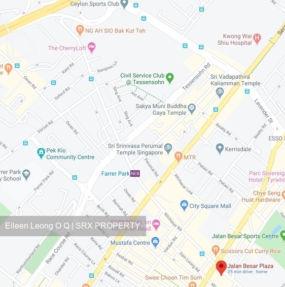 Jalan Besar Plaza (D8), Apartment #360306111